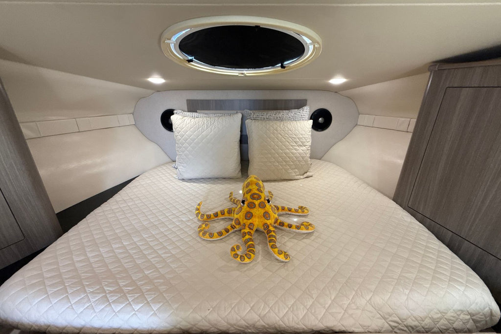 2019 Regal 33 XO